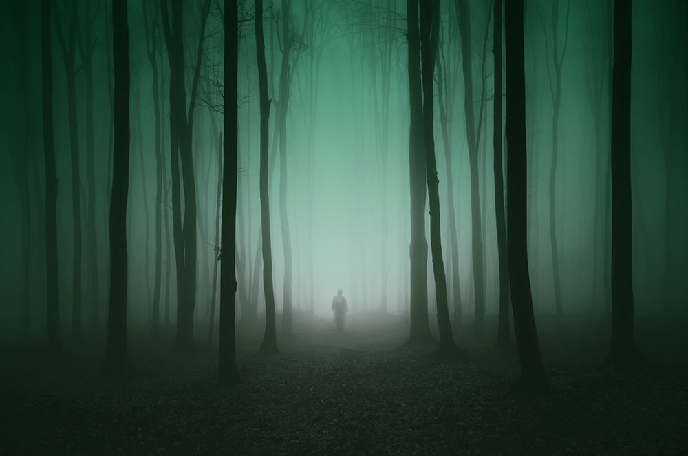 Green toned mist in a forest with a human figure in the distance